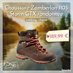 Chaussure Zamberlan 1103 Storm GTX Randonnée. Trekking. Chasse