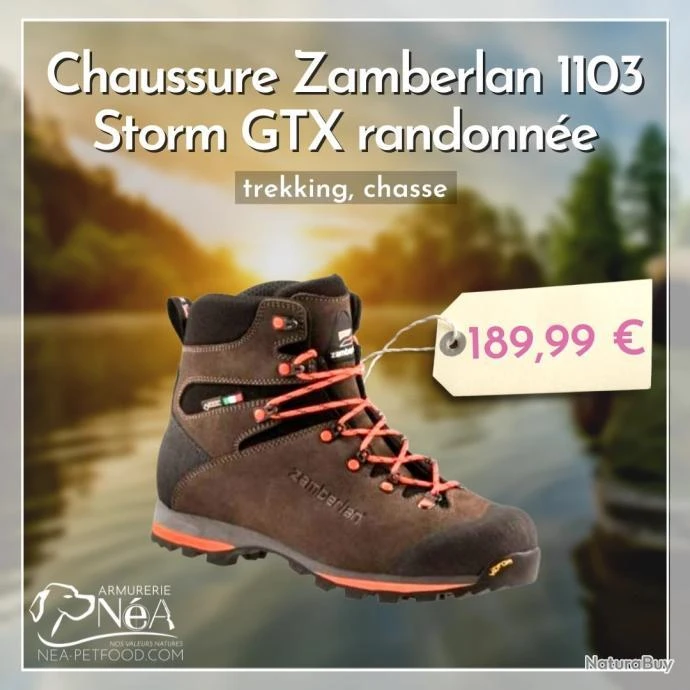 Chaussure Zamberlan 1103 Storm GTX Randonnée. Trekking. Chasse 3 Chaussure Zamberlan 1103 Storm GTX Randonnée. Trekking. Chasse